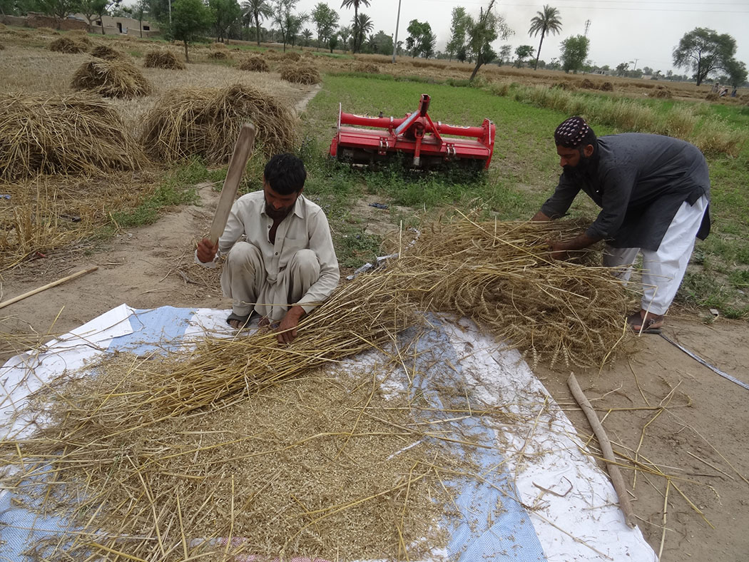 farmers working on crops