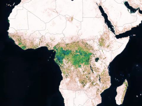 Image from the MAAP dashboard showing NASA Global Ecosystem Dynamics Investigation (GEDI) Level 4B biomass densities across central Africa.