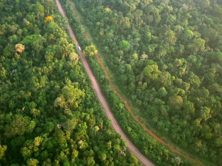 Aerial shot of the Amazon