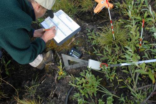 Impacts and Implications of Increased Fire in Tundra Regions of North America