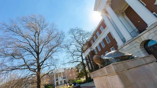 testudo outside McKeldin