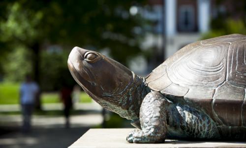 Testudo statue on sunny day