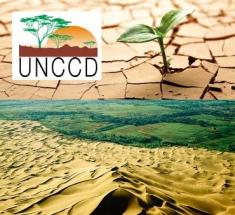 UNCCD logo and background