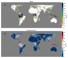 Maps showing mean aboveground biomass density and standard errors