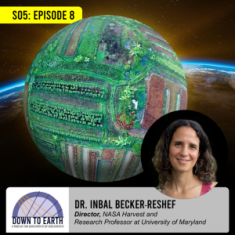 Inbal Becker-Reshef on Down To Earth