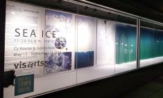 Sea Ice 71.348778º N, 156.690918º W