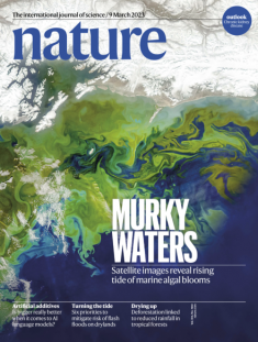 nature cover murky waters 