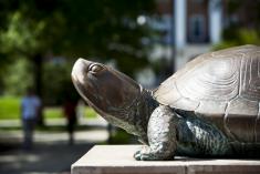 Testudo statue 