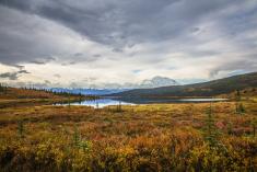 Alaskan tundra