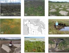 Paper figure with images of disturbances such as wildfire, extreme weather events, and human activites