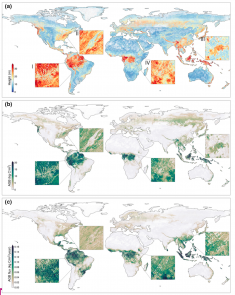 world map showing global forest carbon monitoring