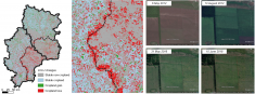 satellite data