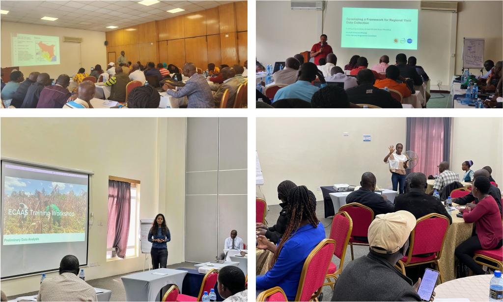 Enumerator/Extension Agent Training Workshop held in Nakuru, and Machakos Kenya. Image A: Session led by Kennedy Ogora from the MoA Crop Insurance Programme. Image B: Session led by Kenneth  Mwangi from IGAD Climate Prediction and Application Center. Image C led by Ms Isha Asalla and Image D led by Ms Diana Botchway Frimpong both from the university of Maryland - NASA Harvest.